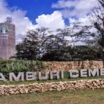 Tanzanian Company Set to Purchase Bamburi Cement for Sh23 Billion