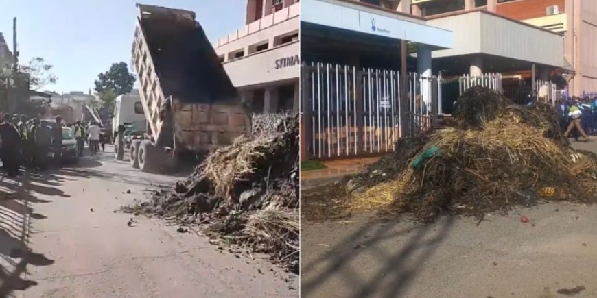 Kenya Power vs Nairobi County: Origins of the Dispute and How the Monday Garbage Dump Unfolded